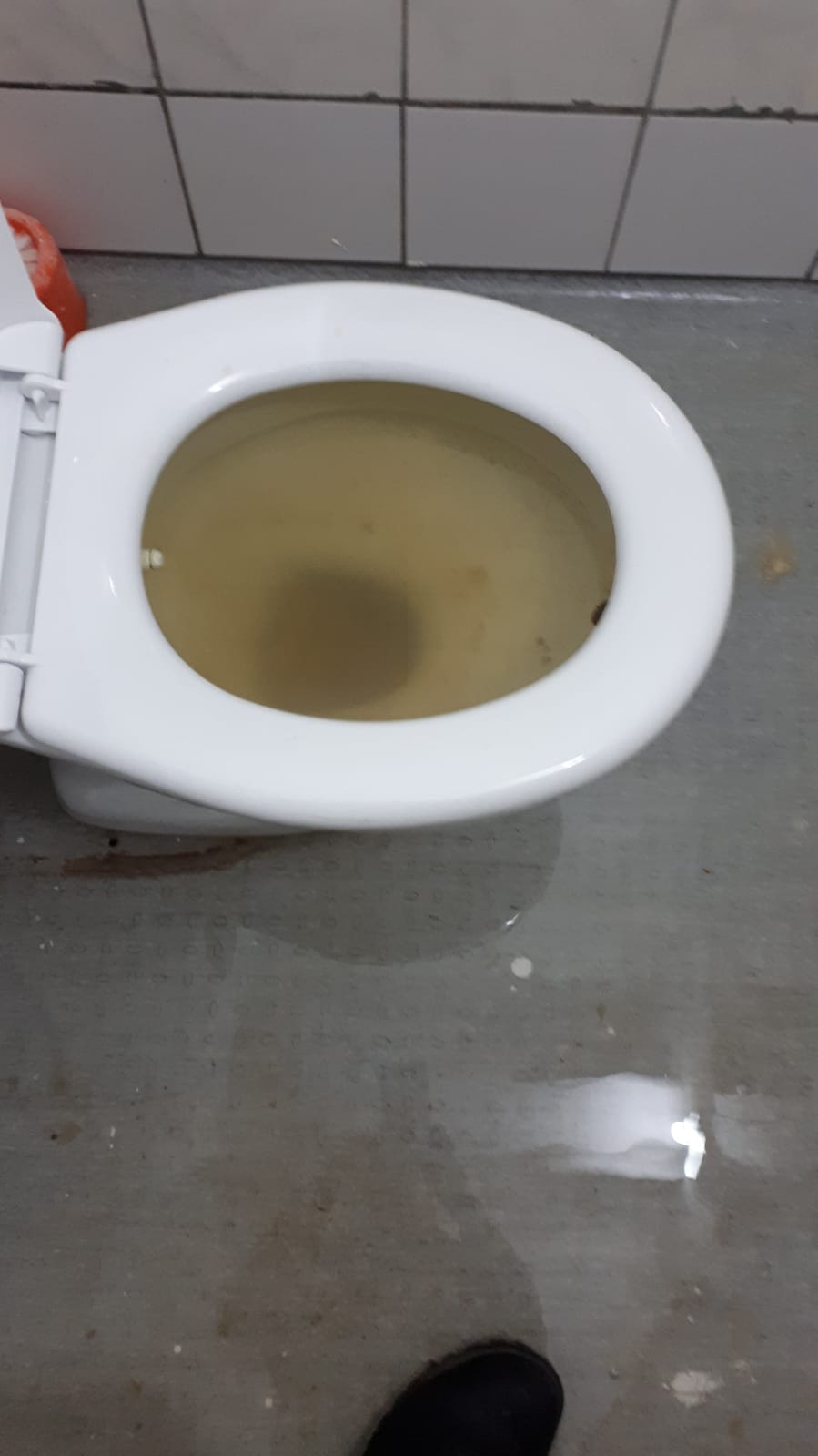 Kıbrıs Tuvalet Tıkanıklığı Açma